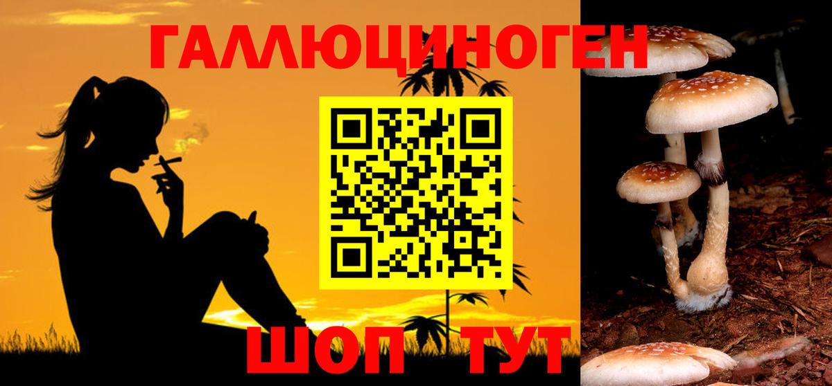 Псилоцибиновые грибы ЛСД Чебоксары